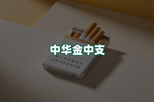 中华金中支